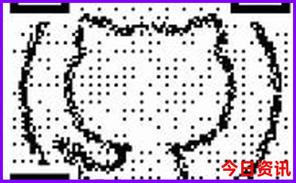 暑假适合带孩子去的地方